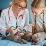Animal Vaccination