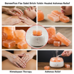 salt bricks